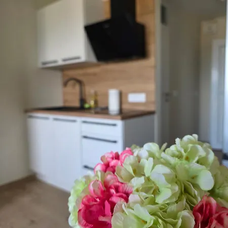Renovated Great Location Apartment